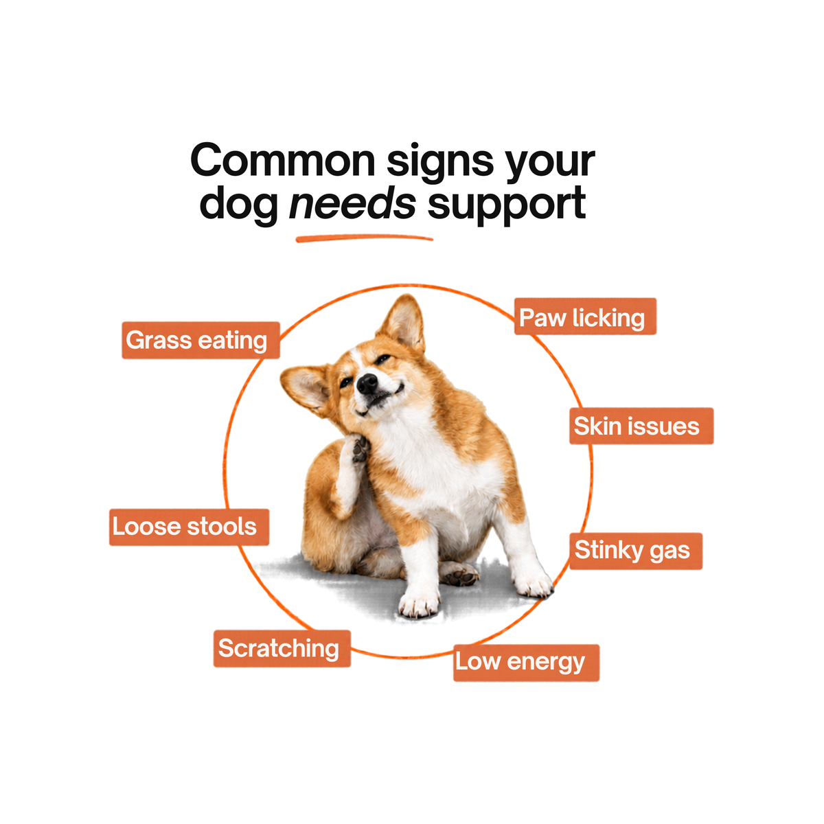 Allergy & Immune Bites